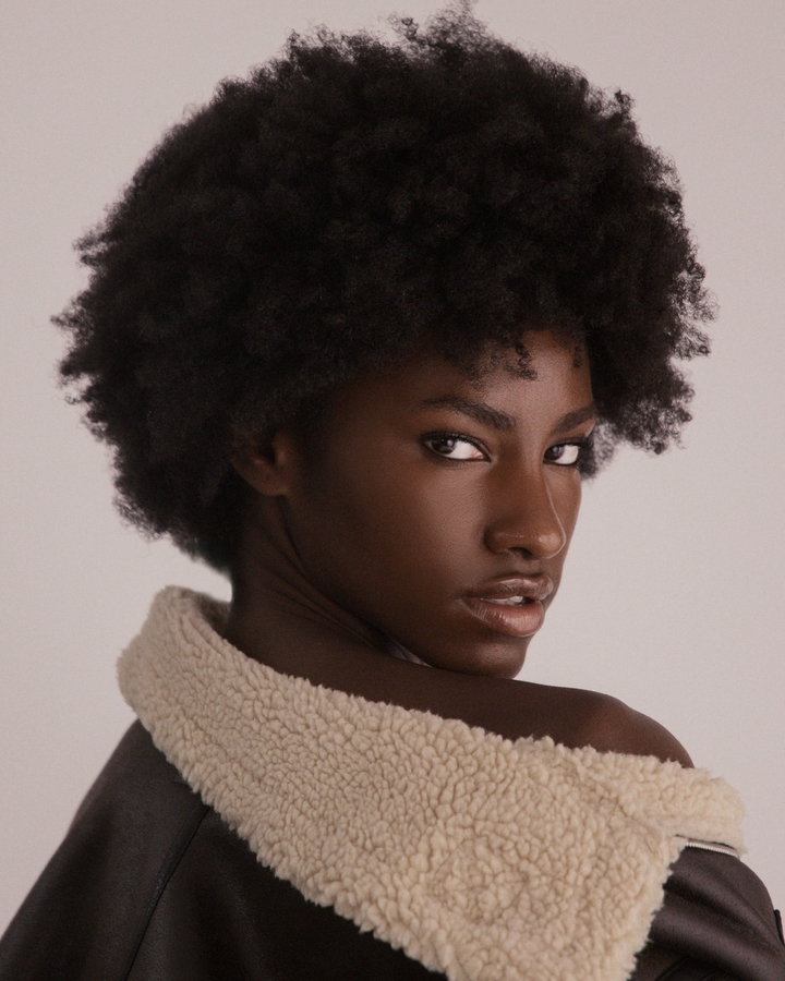 Model Image