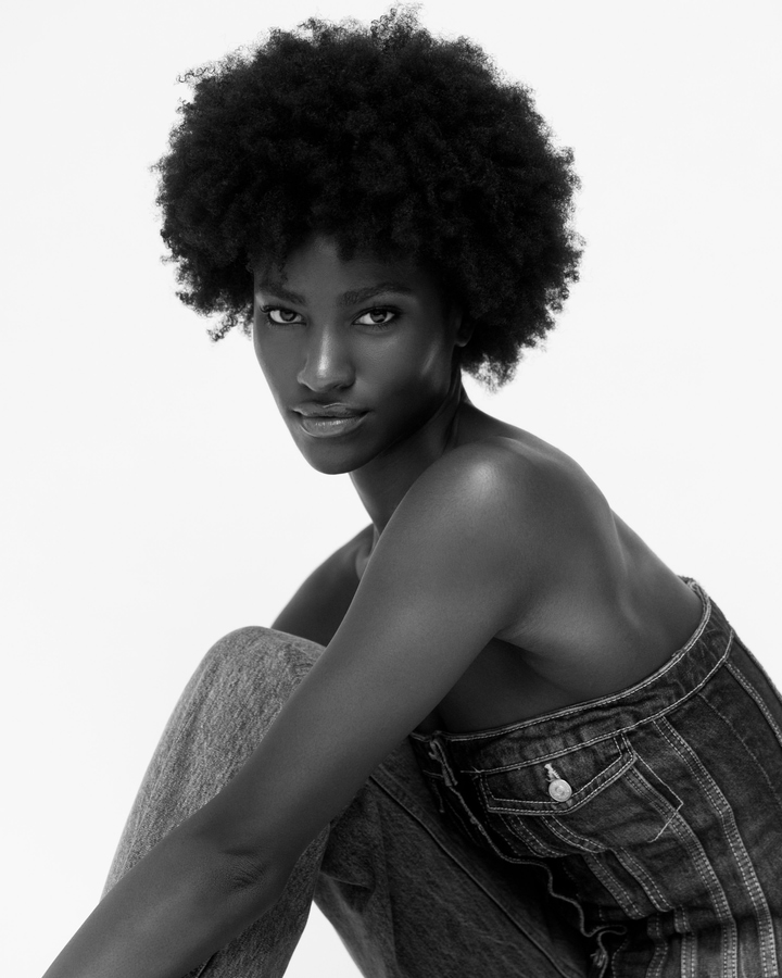 Model Image