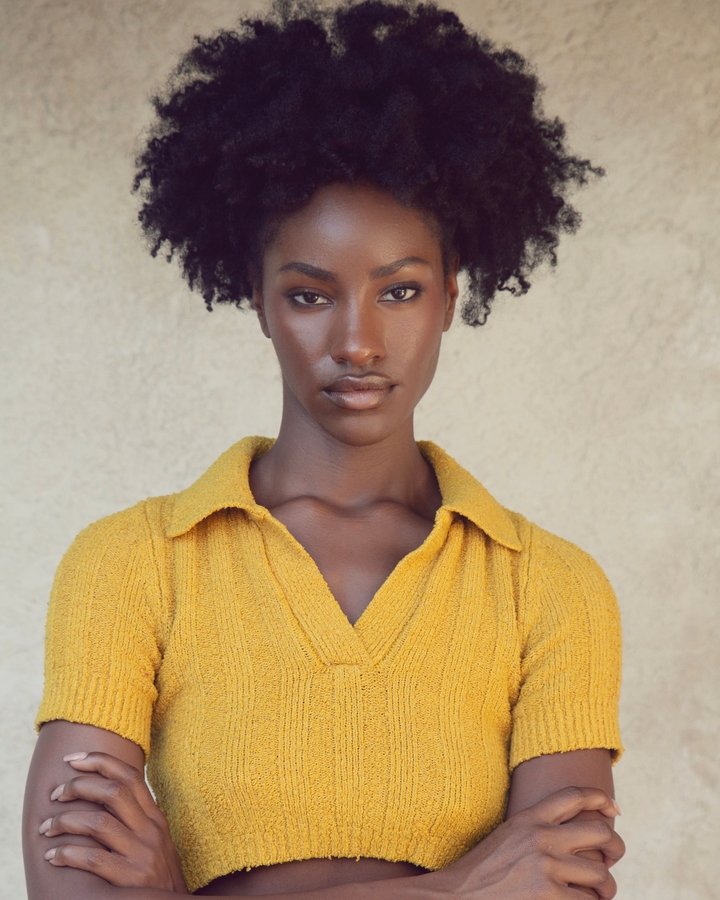 Model Image