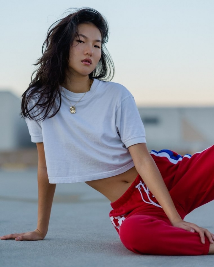 Model Image
