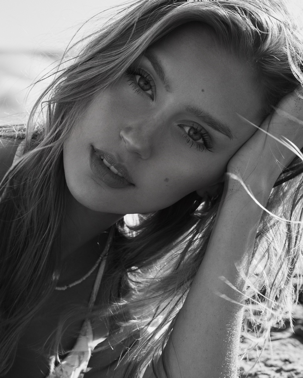 Model Image