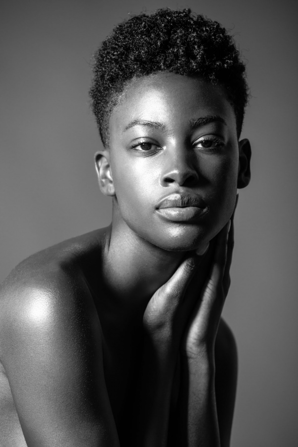Model Image