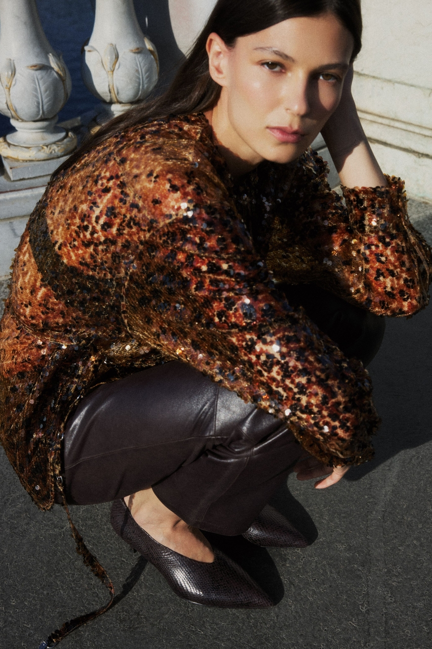 Model Image