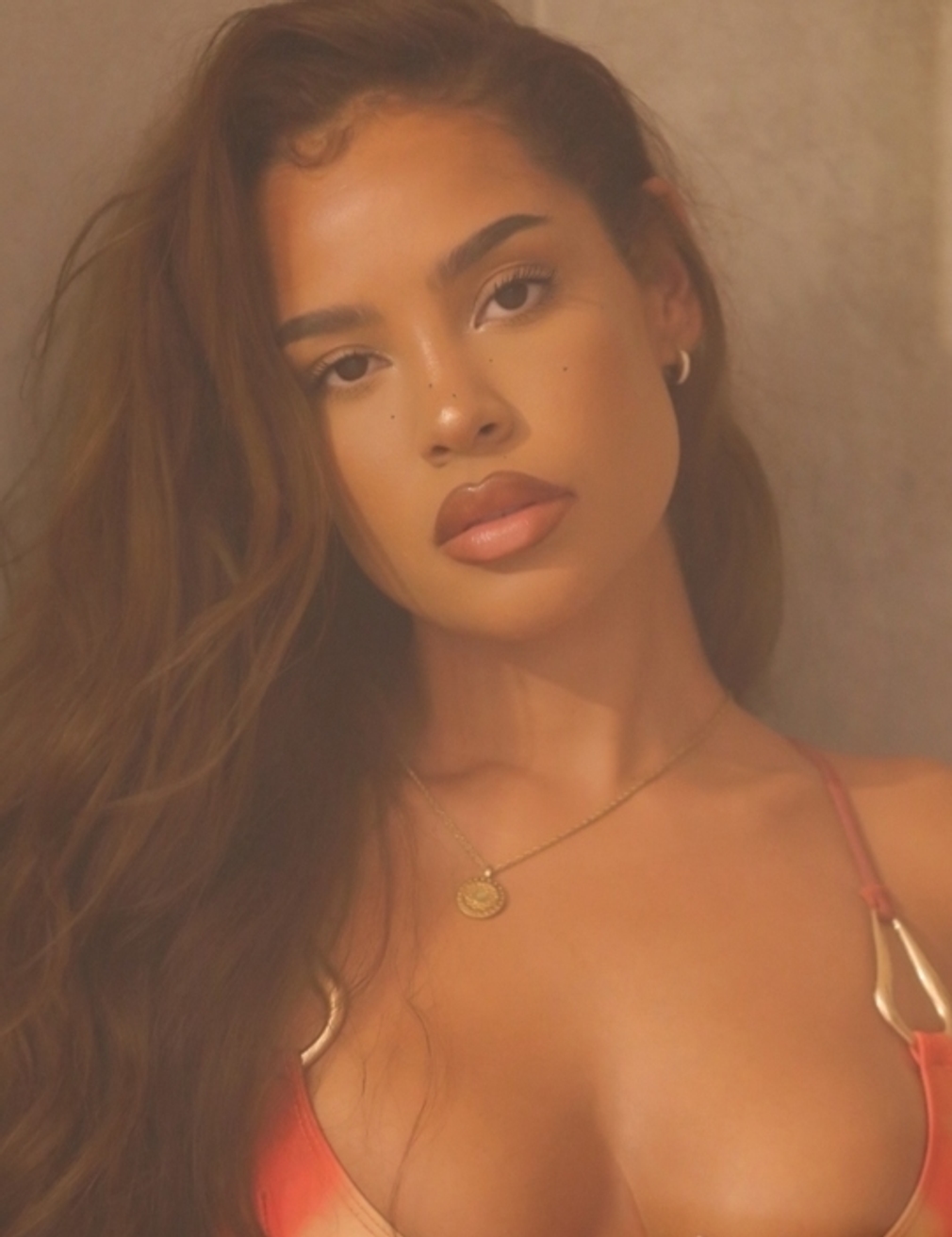 Model Image