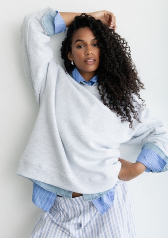 Model Image
