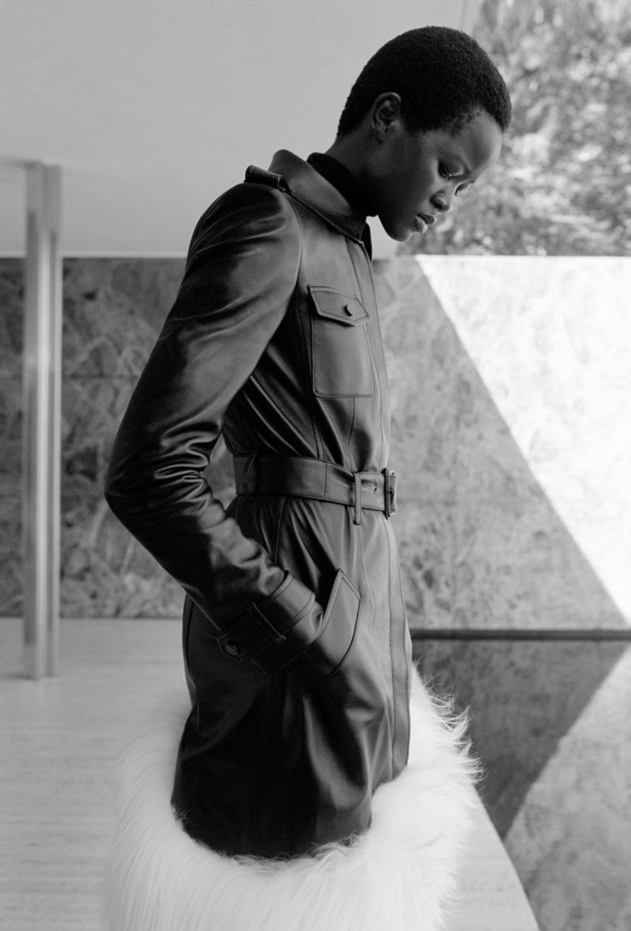 Model Image
