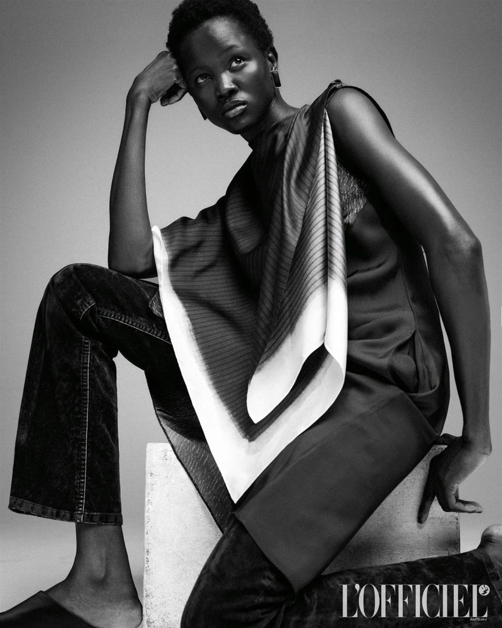 Model Image