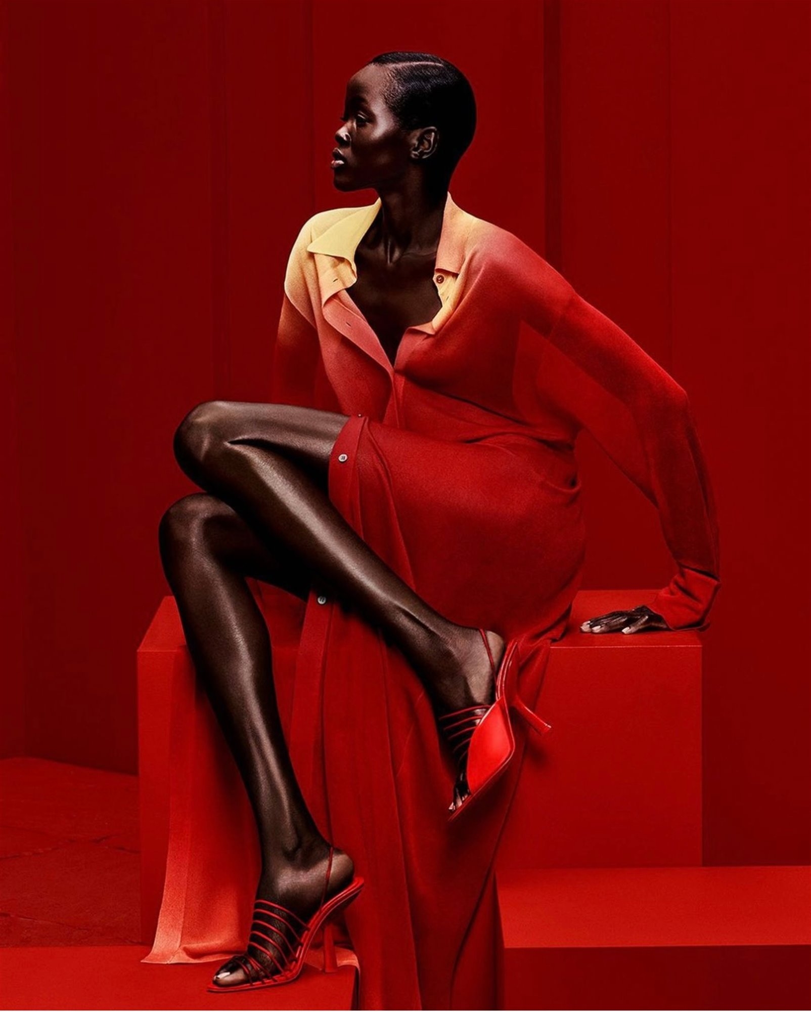 Model Image