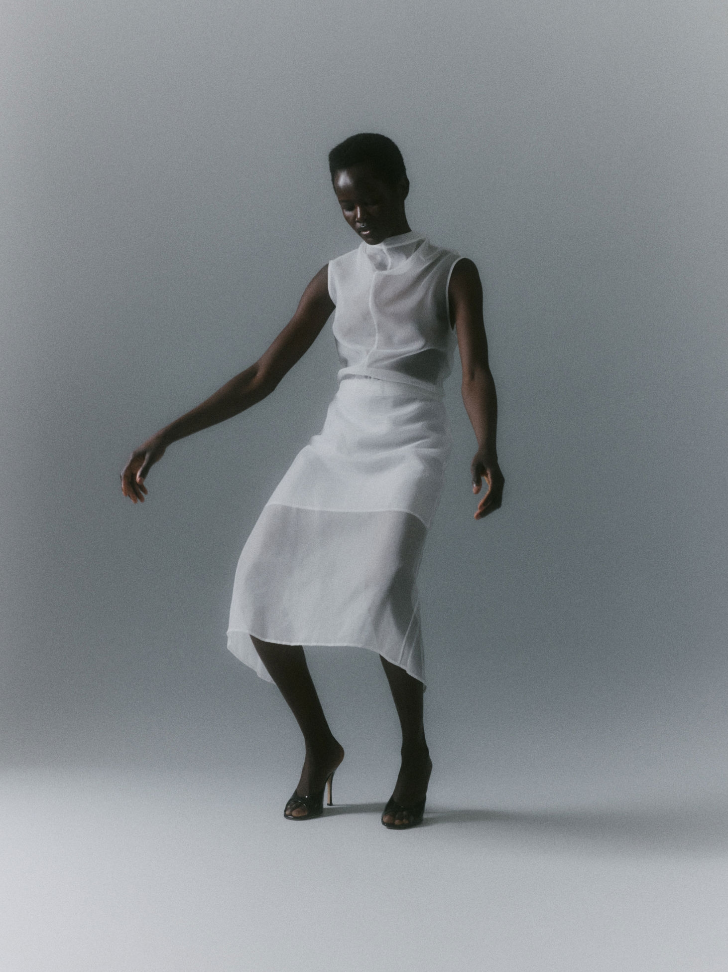 Model Image