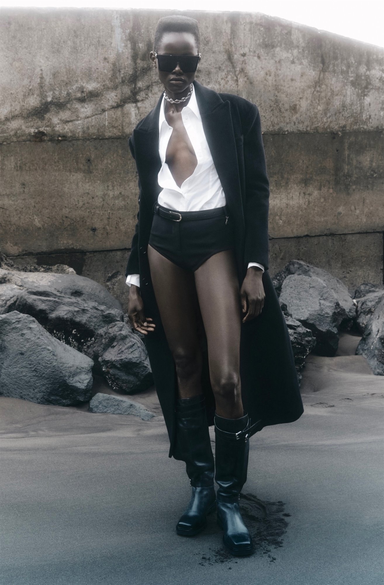 Model Image
